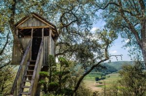 casette-da-giardino-fatte-di-legno-di-qualità